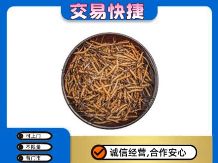 运城市永济回收散虫草